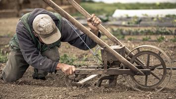 Field-plow.jpg