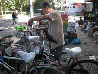 Raven on a Beijing Bike; Stevenson.png