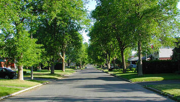Street-Low_Density.jpg Street-Low_Density.jpg