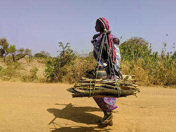 Woman_with-firewood_Chad.jpg