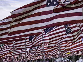 american-flags_Circe-Denyer.jpg