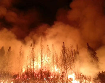 ca-wildfires.jpg ca-wildfires.jpg