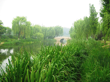 china-house.png china-house.png