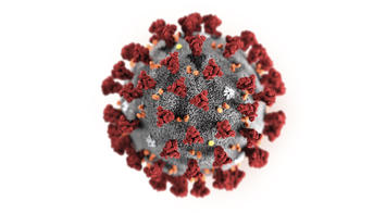 coronavirus-illustration.jpg