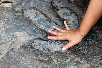 dinosaur-footprint-human-hand.jpg