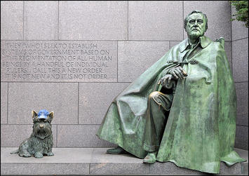 fdr.jpg fdr.jpg