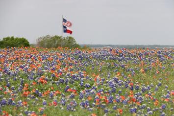 flags-1188055_1280.jpg flags-1188055_1280.jpg