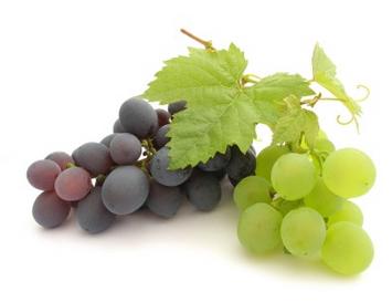 grapeclustersiStock_000004916674XSmall.jpg grapeclustersiStock_000004916674XSmall.jpg