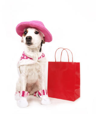 iStock_000002835616XSmall.jpg iStock_000002835616XSmall.jpg