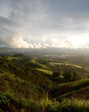 iStock_000005847093XSmall.jpg iStock_000005847093XSmall.jpg