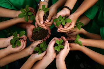 iStock_000006715814XSmall.jpg iStock_000006715814XSmall.jpg