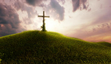 iStock_000007137658XSmall.jpg iStock_000007137658XSmall.jpg