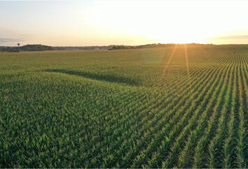 midwest-farm-crops.jpg