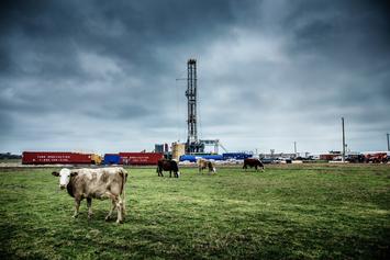 oil-rig-and-cows-in-the-heartland-1400x-q100.jpg