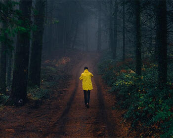 path-ahead-suburbia.jpg path-ahead-suburbia.jpg