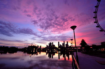 singapore-purple.jpg singapore-purple.jpg