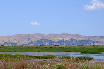 suisin-solano-county.jpg