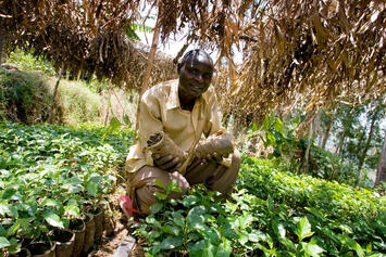 ugandan-farmer-produce.jpg ugandan-farmer-produce.jpg