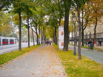 vienna.jpg vienna.jpg