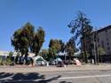 1200px-Homeless_encampment_in_Oakland_near_I-980.jpg