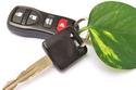 Car Key with GreenLeaf-iStock_000007105511XSmall.jpg
