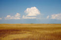 Cumulus_Clouds_over_South-Dakota_Prairie.jpg