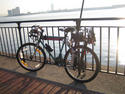 East River Bicycle.jpg
