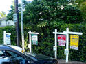 For Sale Homes-Signs.jpg