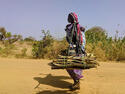 Woman_with-firewood_Chad.jpg
