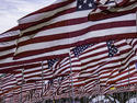 american-flags_Circe-Denyer.jpg