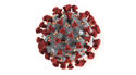 coronavirus-illustration.jpg