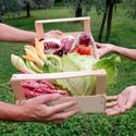 fruit and vegetable basket offering - iStock_000004898669XSmall.jpg