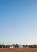 iStock_000004371339XSmall.jpg