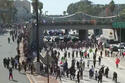 iceoutofla-protest.jpg