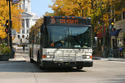 mass-transit-bus-madison (1).jpg