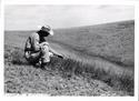 patch-of-prairie-sand-reed-grass-05237c-1600.jpg