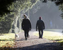 people-walking-dog-in-park.jpg