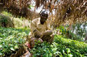 ugandan-farmer-produce.jpg