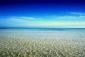 tropicalseas2012's picture