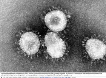 CDC-murphy_coronavirus.jpg