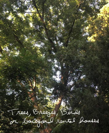 IG-Trees-Breezes-Birds-or-Backyard-Rental-Houses-text-and-image-1-520x639.jpg IG-Trees-Breezes-Birds-or-Backyard-Rental-Houses-text-and-image-1-520x639.jpg