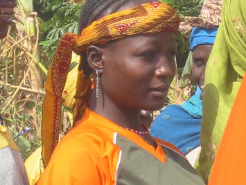 Niger Woman.jpg