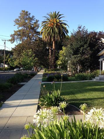 Sidewalk_and_street_in_Mountain_View,_California.jpg