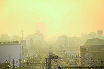 Tokyo; Yellow Dust.jpg