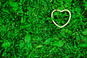 greenheart.jpg