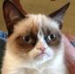 greg27241's picture